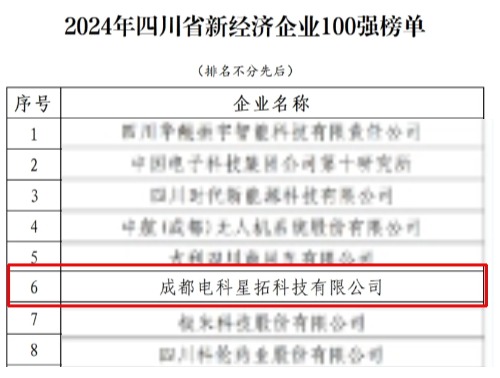 电科nangong28.com荣膺“2024年四川省新经济企业”100强榜单.jpg
